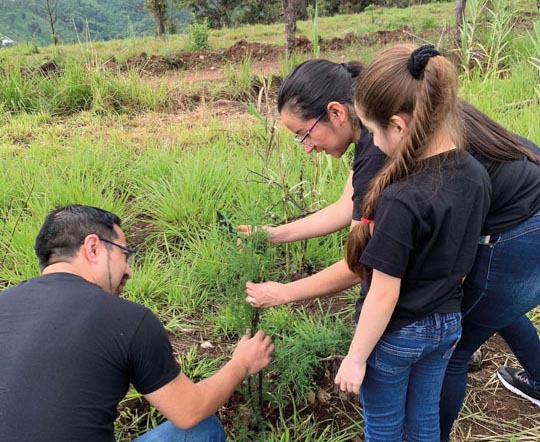 Volunteers planting a sapling