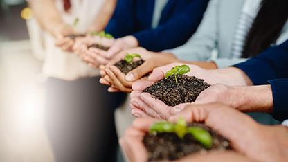 Hands holding soil and green plants, representing growth, sustainability, and environmental care.